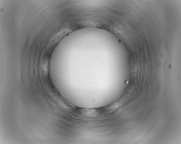 X0000088610334200706151833