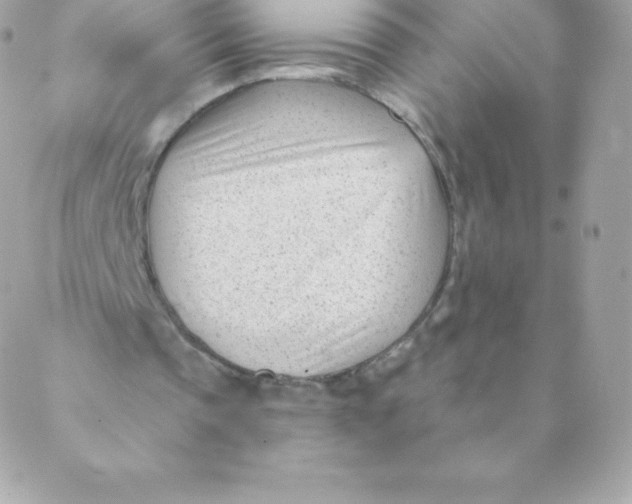 X0000088610337200706151832