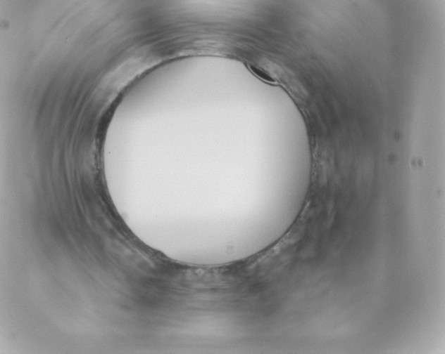 X0000088610338200706151832