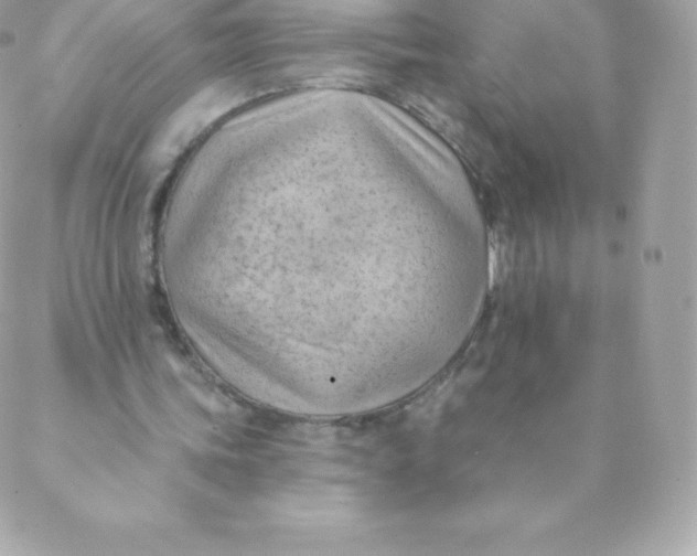 X0000088610339200706151832