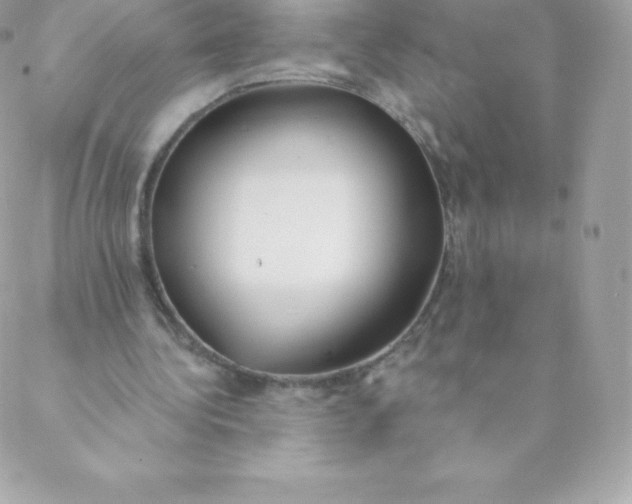 X0000088610340200706151832