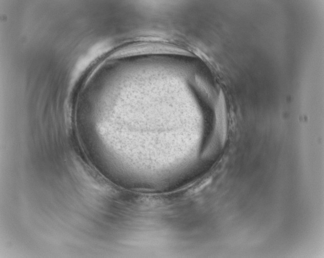 X0000088610343200706151832