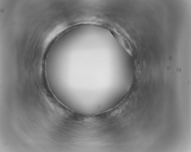 X0000088610344200706151832