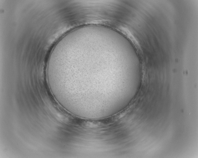 X0000088610346200706151832