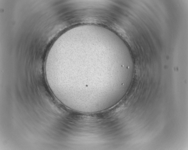 X0000088610347200706151833