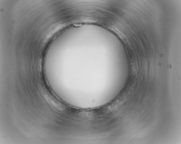 X0000088610350200706151833