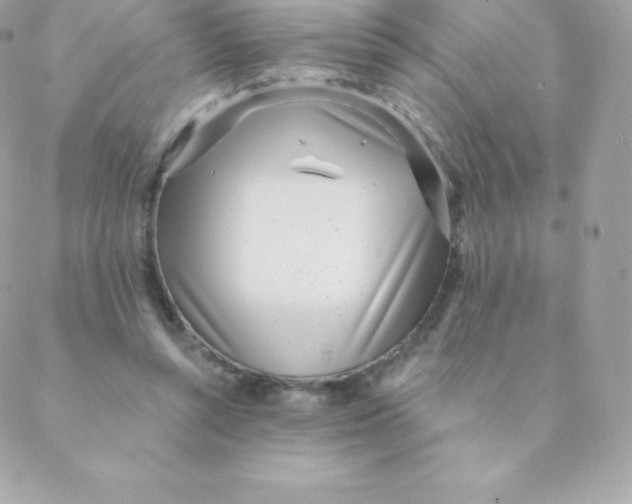 X0000088610352200706151833