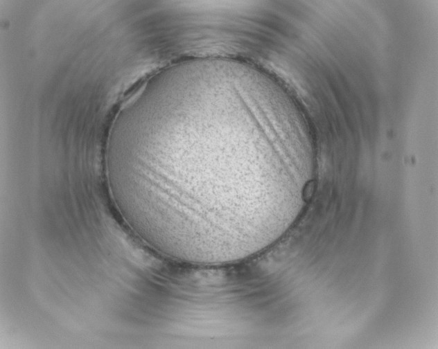 X0000088610353200706151833