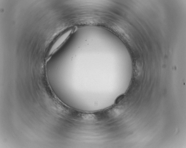 X0000088610355200706151833