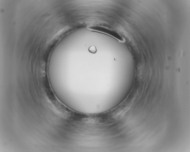 X0000088610356200706151833