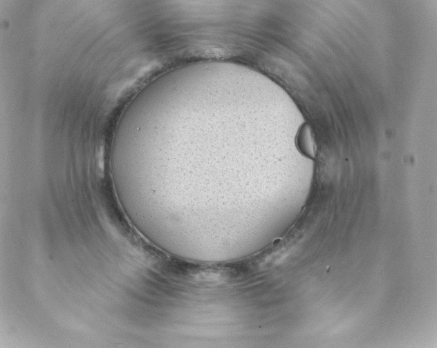 X0000088610358200706151833