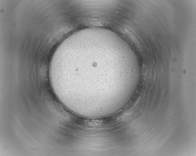 X0000088610359200706151833