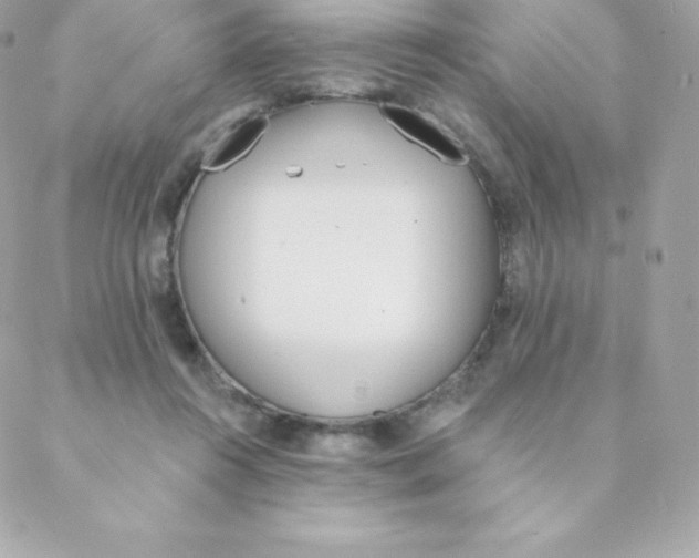 X0000088610360200706151833