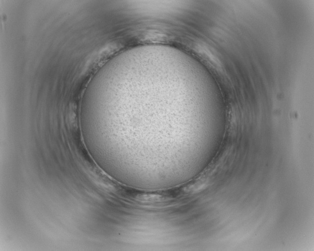 X0000088610361200706151833