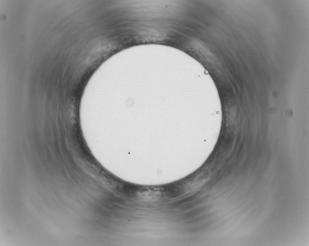 X0000088610362200706151833