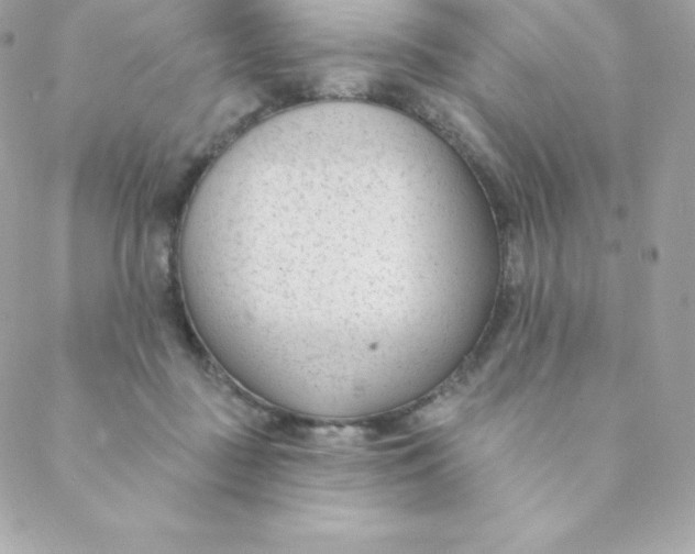 X0000088610363200706151833