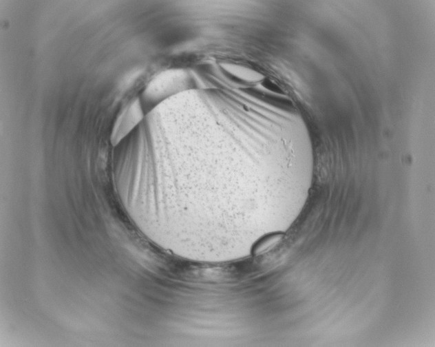 X0000088610365200706151833