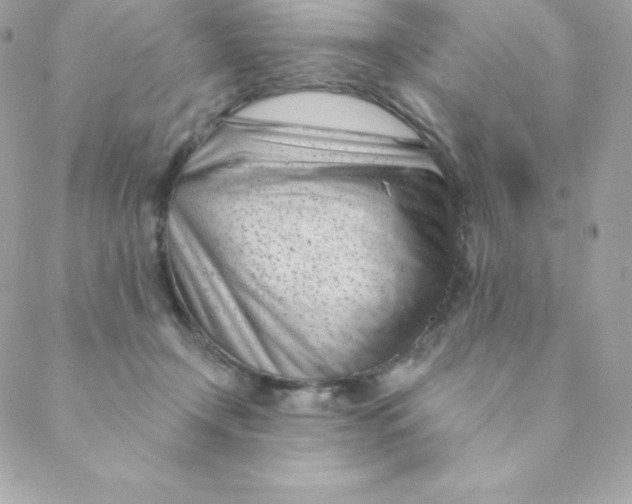 X0000088610366200706151833