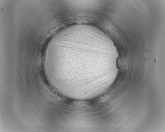 X0000088610367200706151833