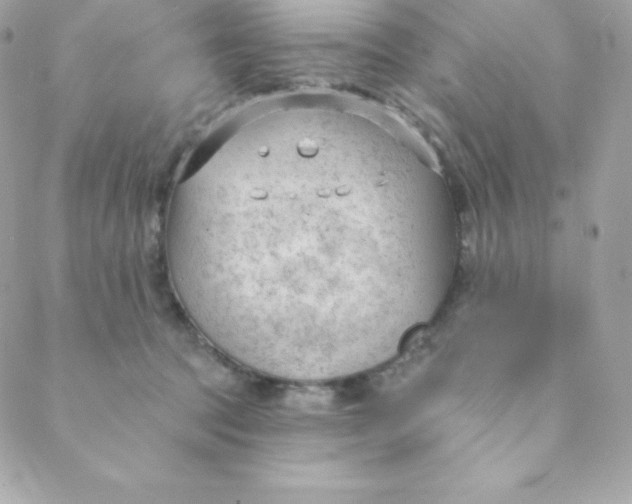 X0000088610369200706151833