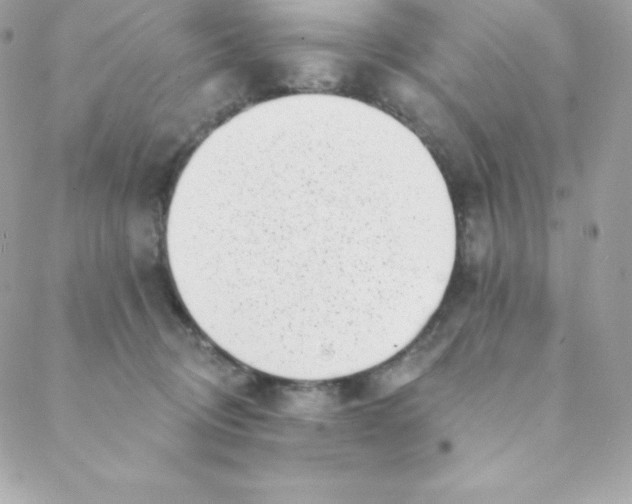 X0000088610370200706151833