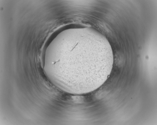 X0000088610371200706151833