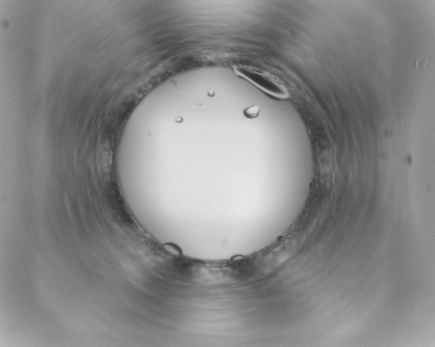 X0000088610372200706151833