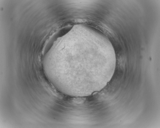 X0000088610373200706151833