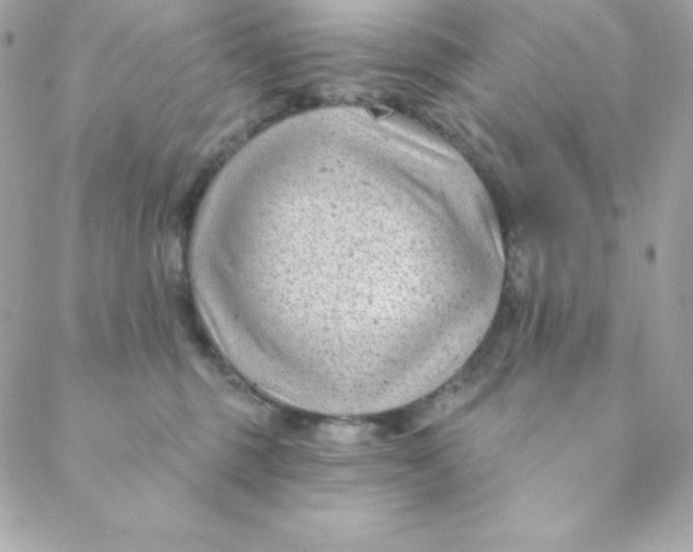 X0000088610375200706151833