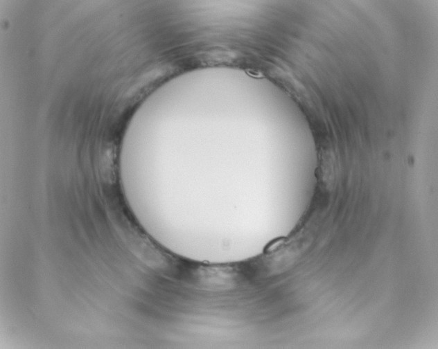 X0000088610378200706151833