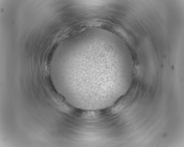 X0000088610381200706151833