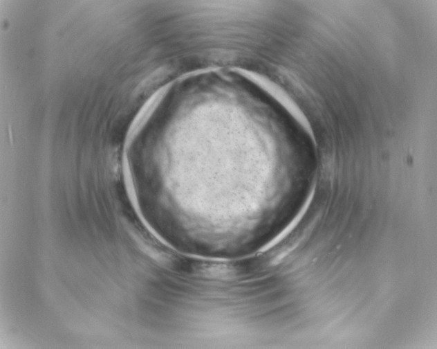 X0000088610383200706151833