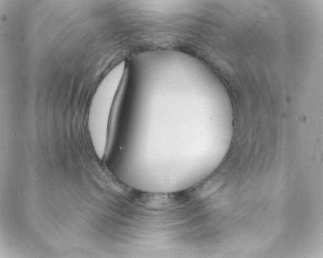 X0000088610384200706151833