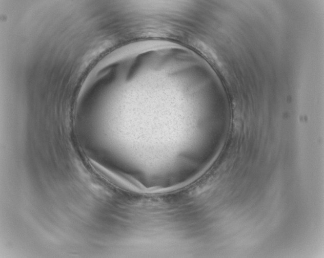 X0000088610386200706151832