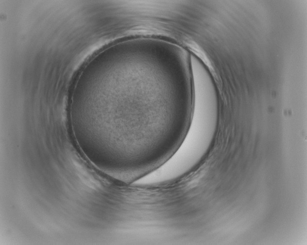 X0000088610387200706151832