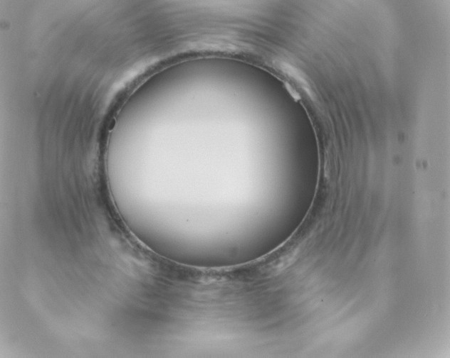 X0000088610388200706151832