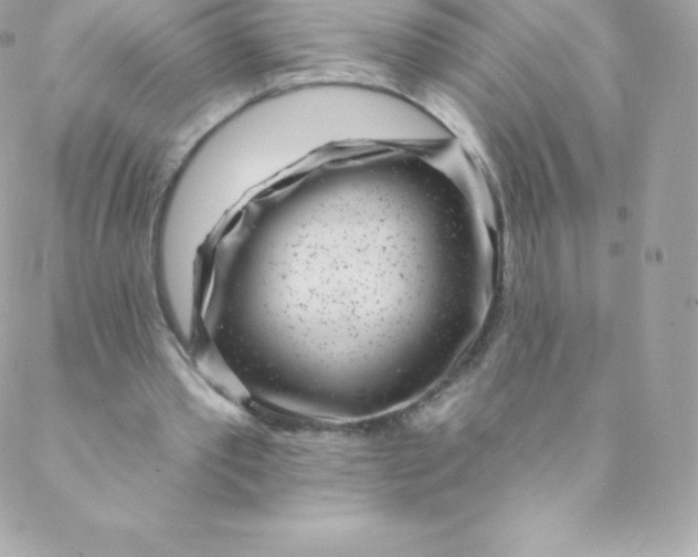 X0000088610389200706151832