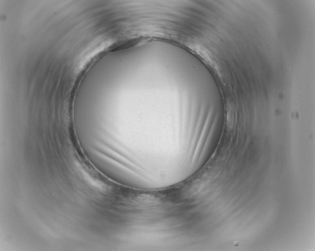 X0000088610390200706151832