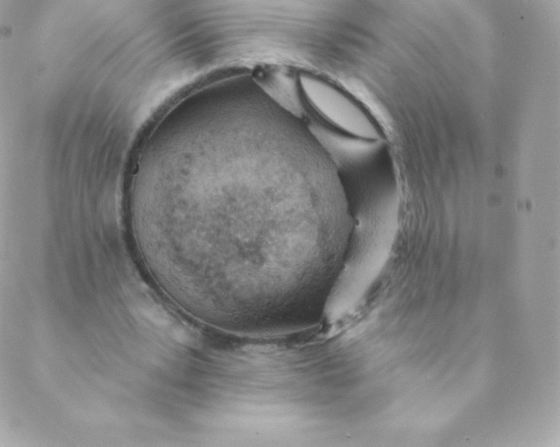 X0000088610391200706151832