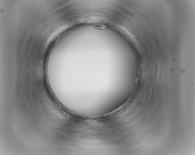 X0000088610392200706151832