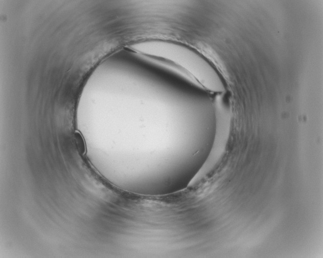 X0000088610393200706151832