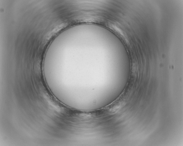 X0000088610394200706151832