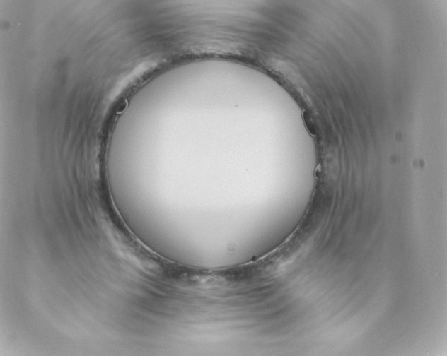 X0000088610395200706151832