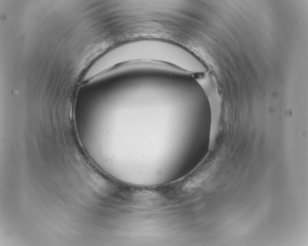 X0000088610397200706151832