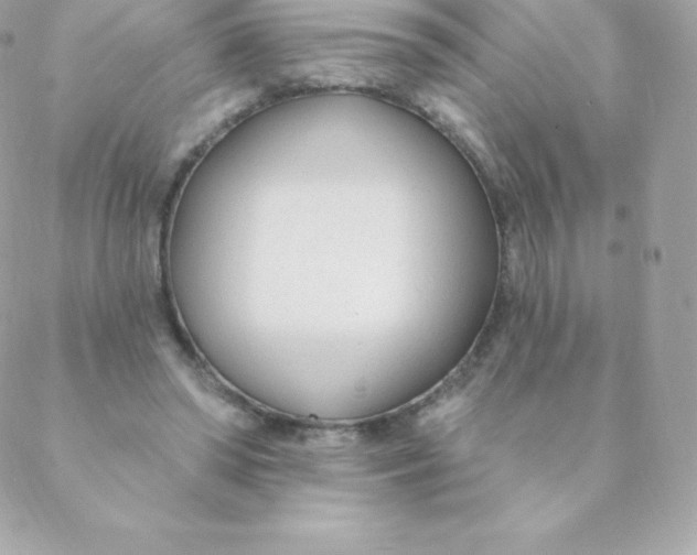 X0000088610398200706151832