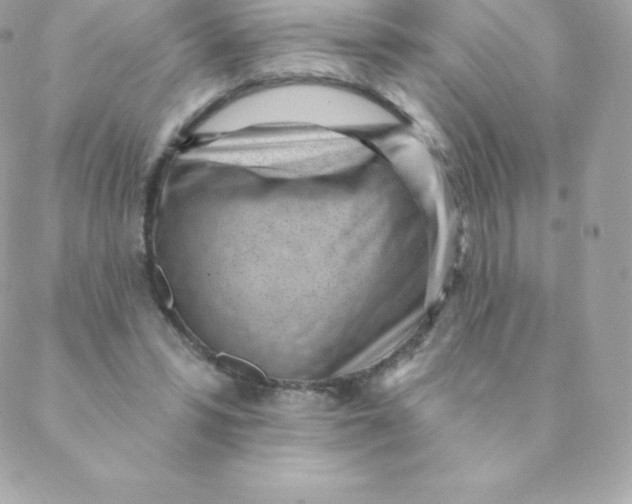 X0000088610399200706151832