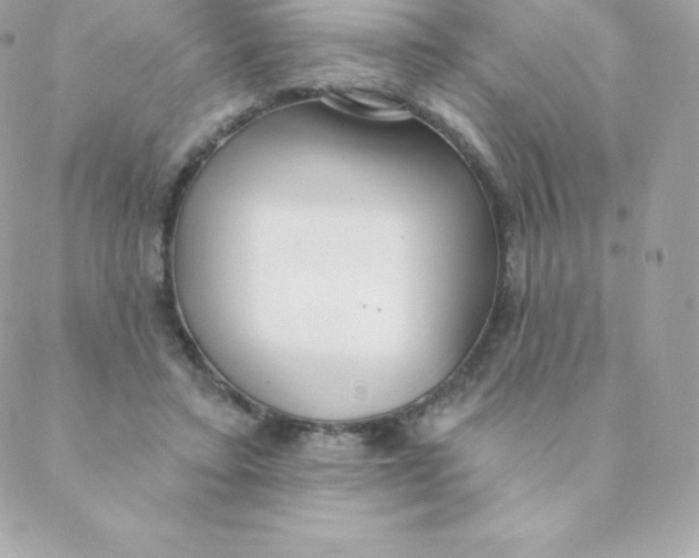 X0000088610403200706151832