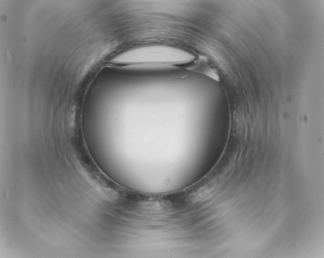 X0000088610404200706151832