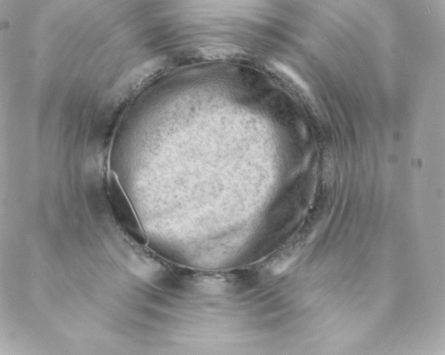 X0000088610405200706151832