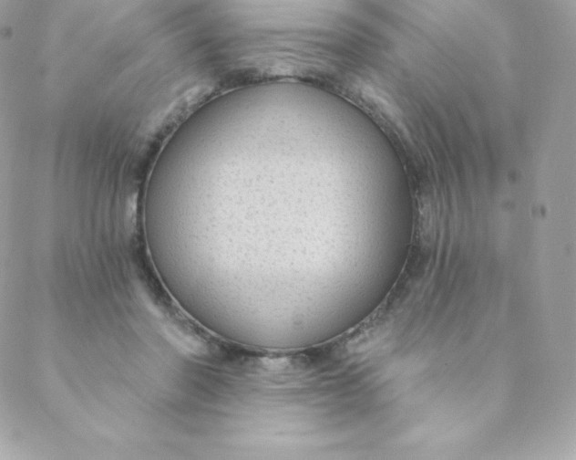 X0000088610406200706151832